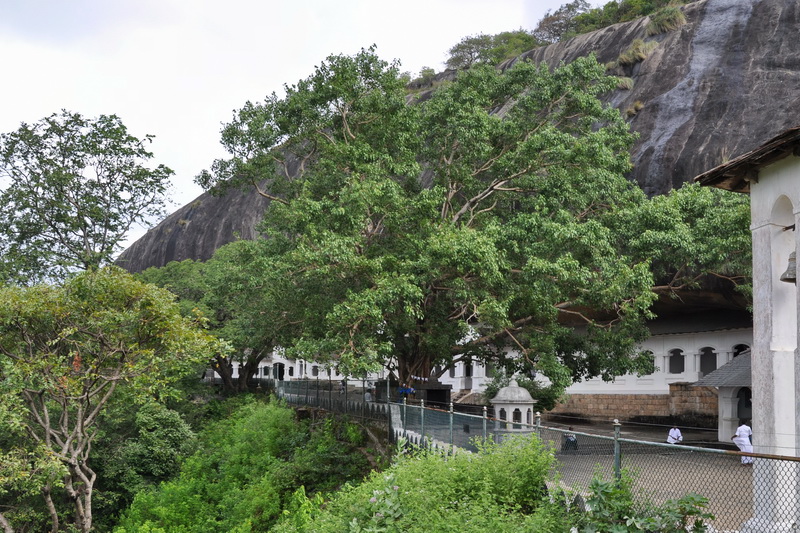 Sri Lanka, Dambulla